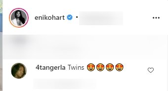 A fan's comment on Kevin Hart's kids, Kenzo and Kaori's picture. | Photo: Instagram/Enikohart