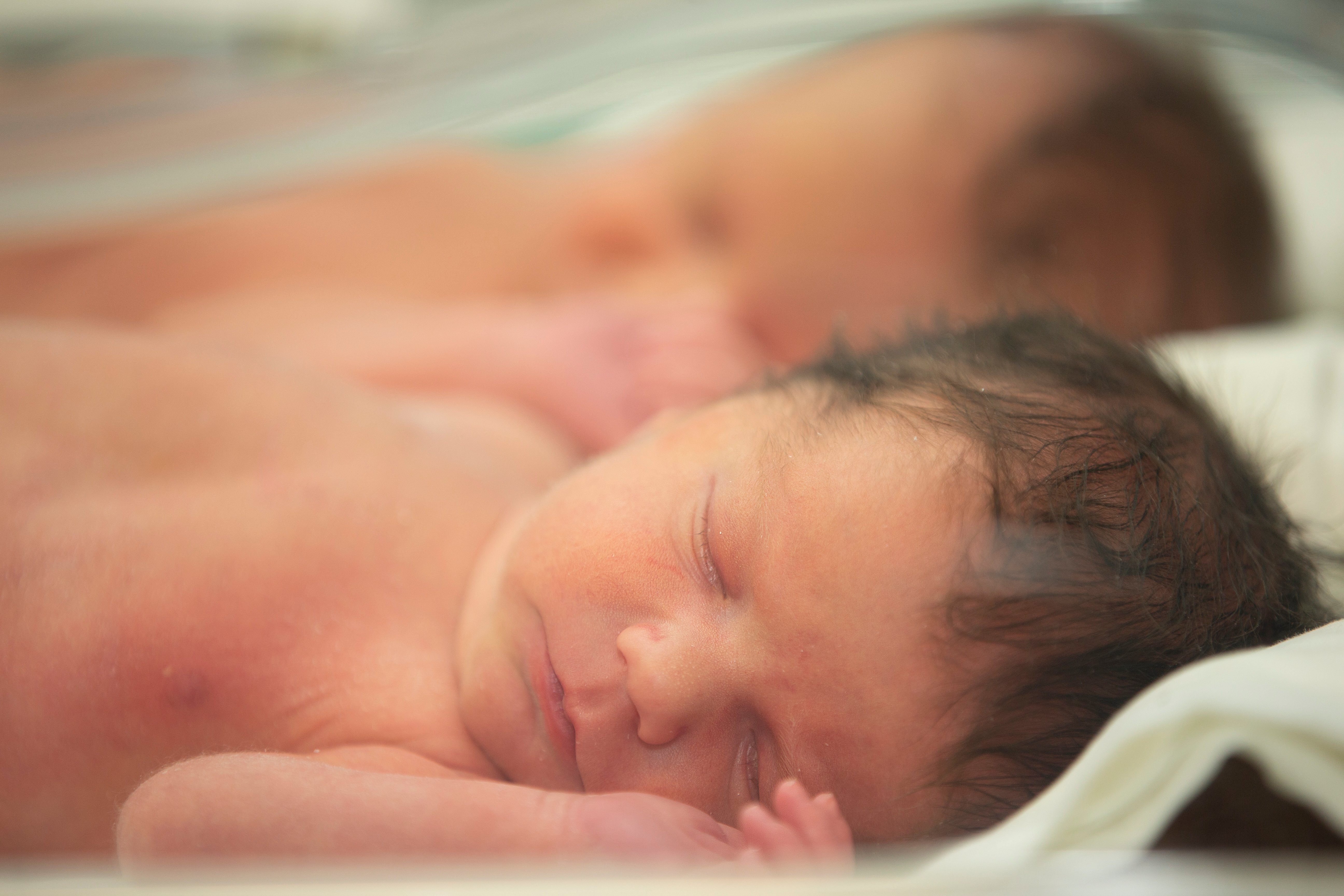 Gemelos recién nacidos en incubadora. | Foto: Shutterstock