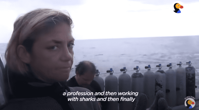 Une femme a retiré plus de 300 hameçons de la bouche des requins. | Photo : Youtube/Le Dodo Wild Hearts