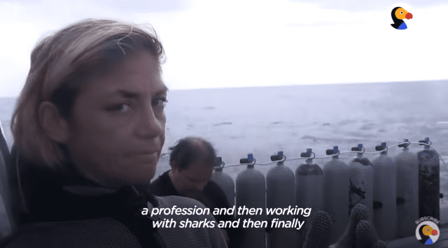 Une femme a retiré plus de 300 hameçons de la bouche des requins. | Photo : Youtube/Le Dodo Wild Hearts Une femme a retiré plus de 300 hameçons de la bouche des requins. | Photo : Youtube/Le Dodo Wild Hearts