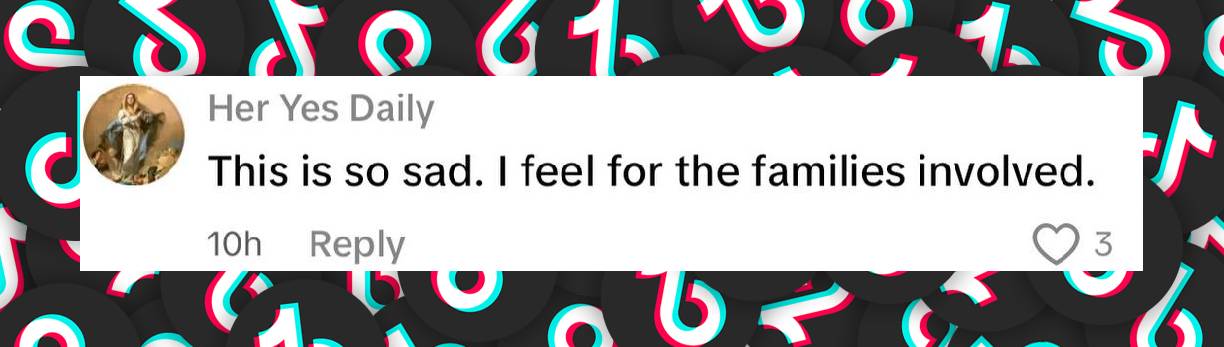 A comment under a post shared on July 19, 2025. | Source: TikTok/TMZ