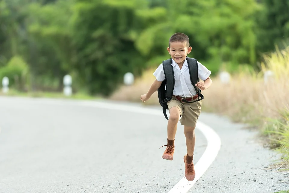 A boy heading to school. | Photo: pixabay.com
