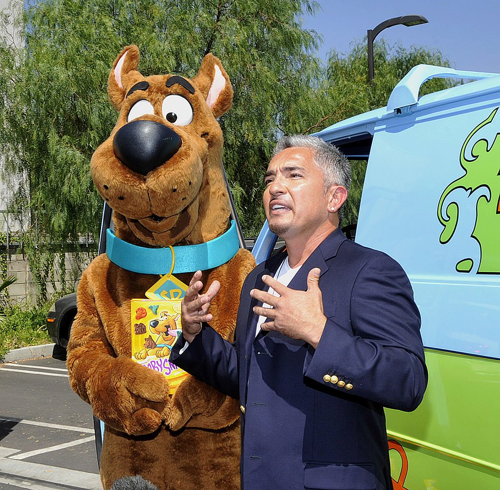 Famous dog whisperer Cesar Millan talks beside cartoon character Scooby-doo, during his 40th birthday celebration in 2009 at an animal shelter in California. | Photo: Getty Images