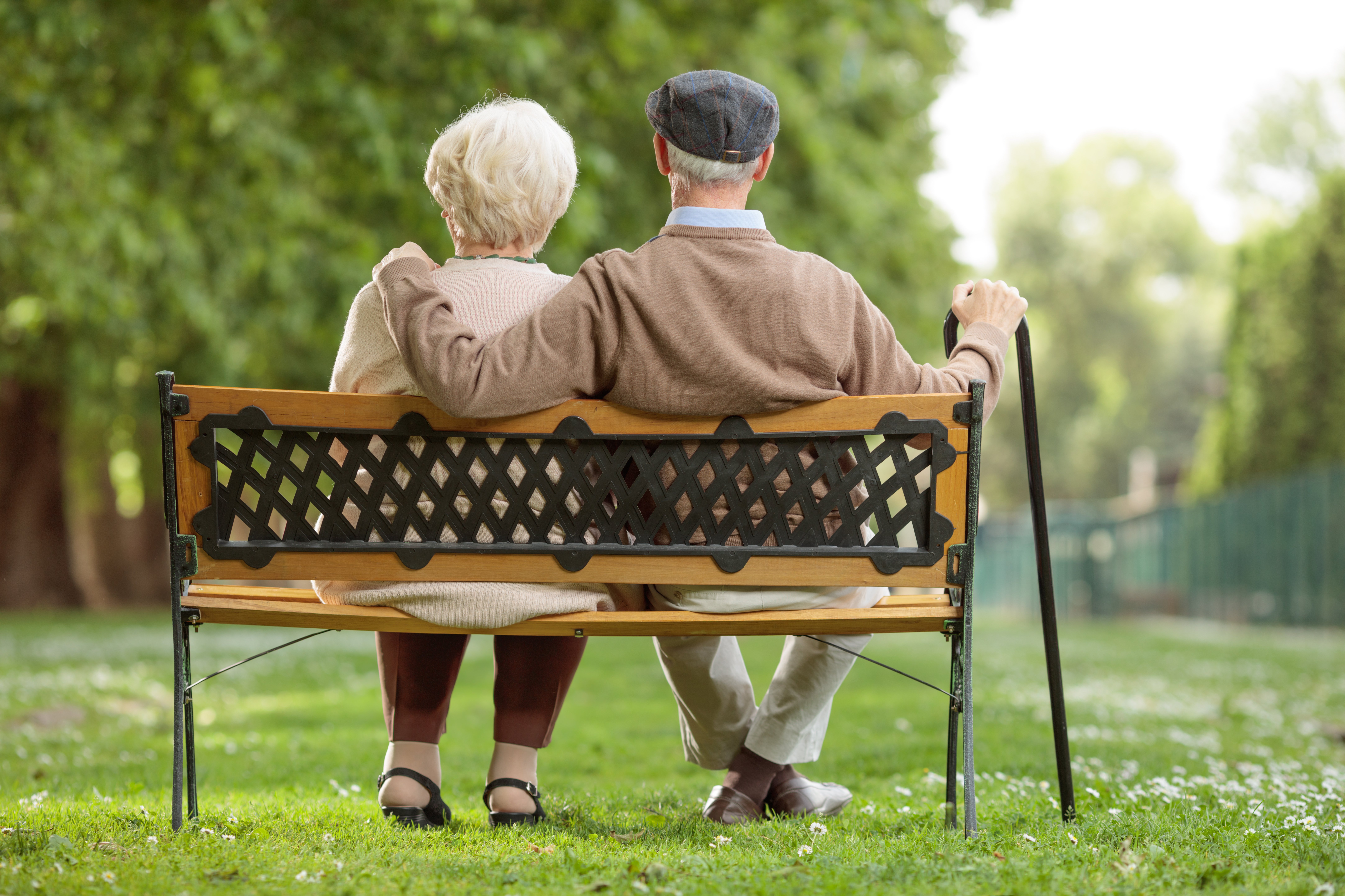 Rear view shot of a senior couple sitting on a wooden bench in the park | Photo: Shutterstock.com