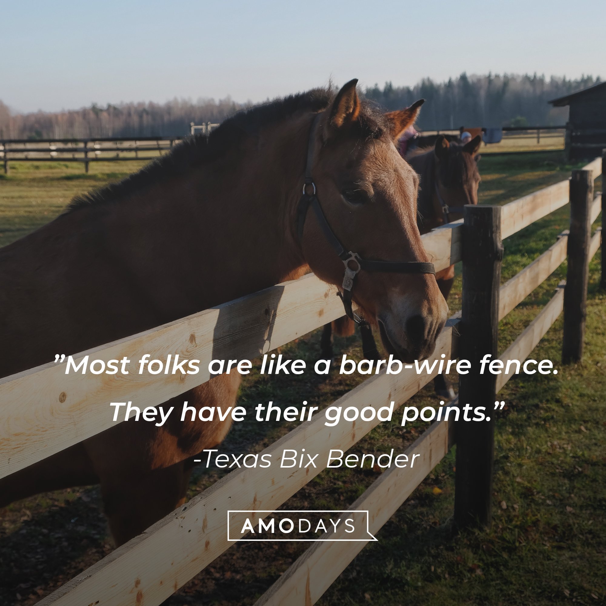Texas Bix Bender's quote: "Most folks are like a barb-wire fence. They have their good points.” | Image: AmoDays