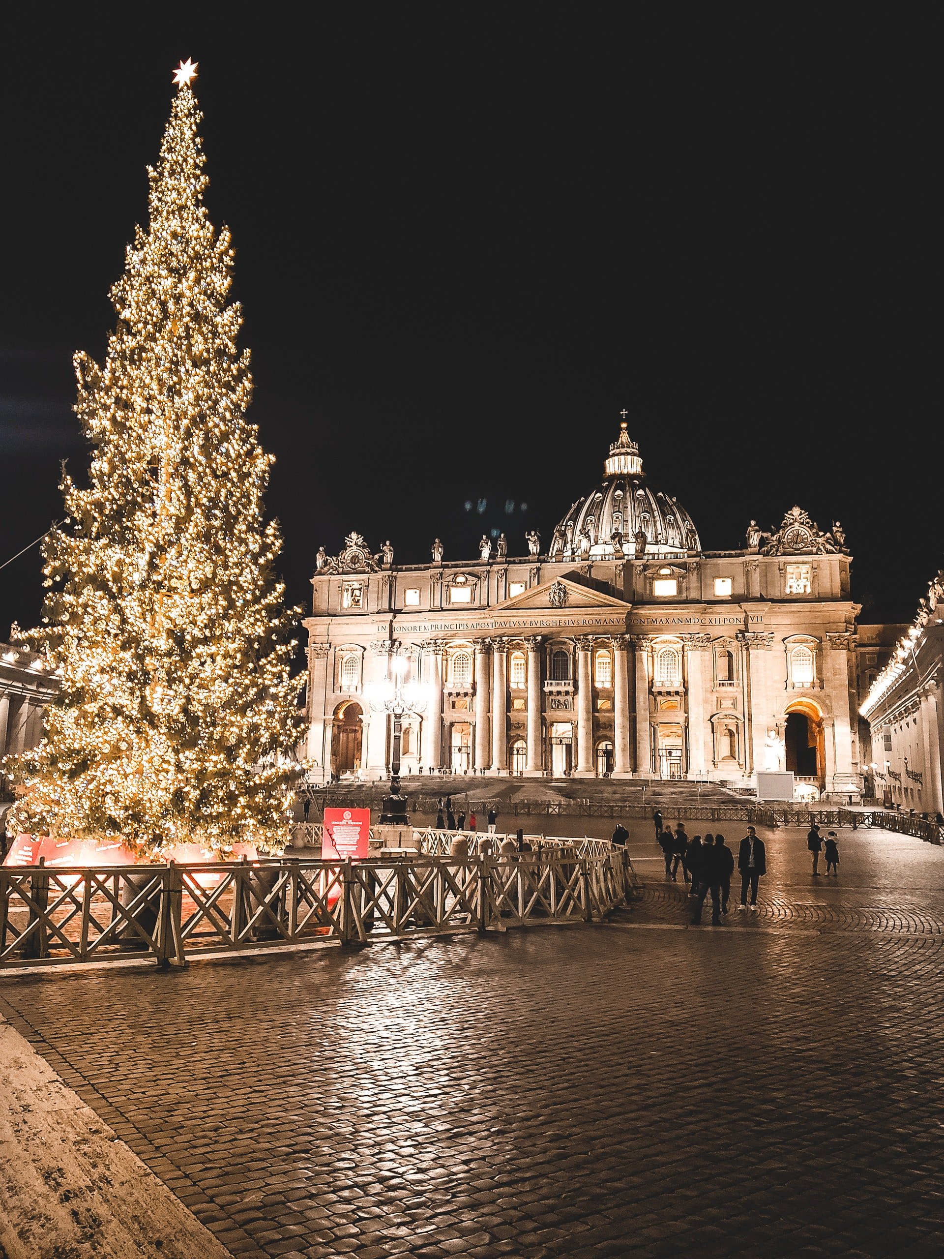 Photo of a huge christmas tree | Photo: Pexels