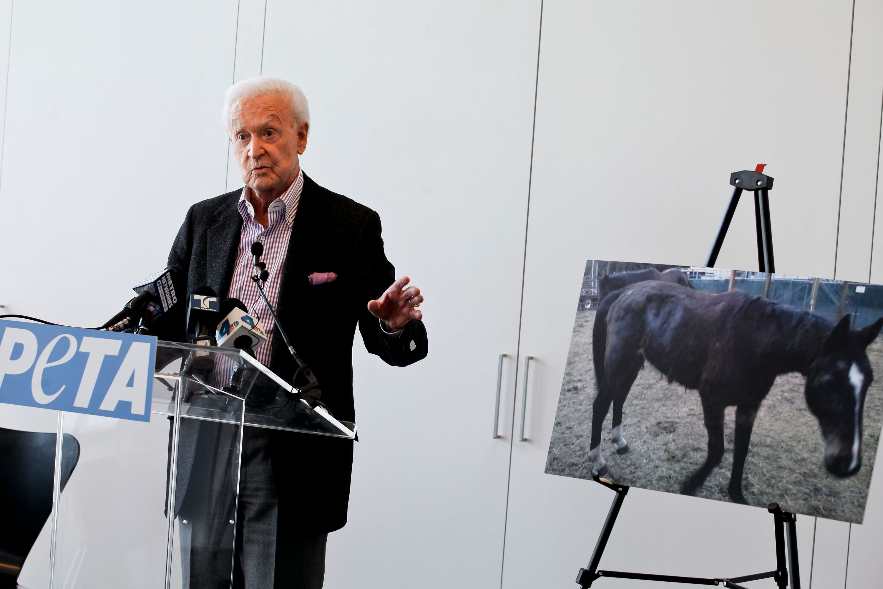 Bob Barker speaking at a conference he hosted to reform the "No Animals Harmed" movie label in Los Angeles, 2012 | Source: Getty Images