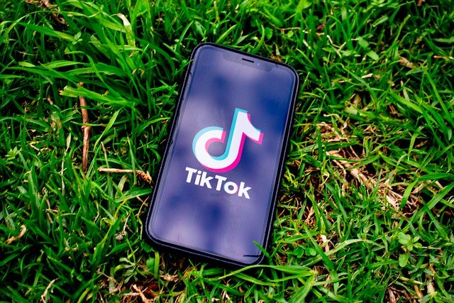 The TikTok logo on a phone laying in the grass | Photo: Pixabay