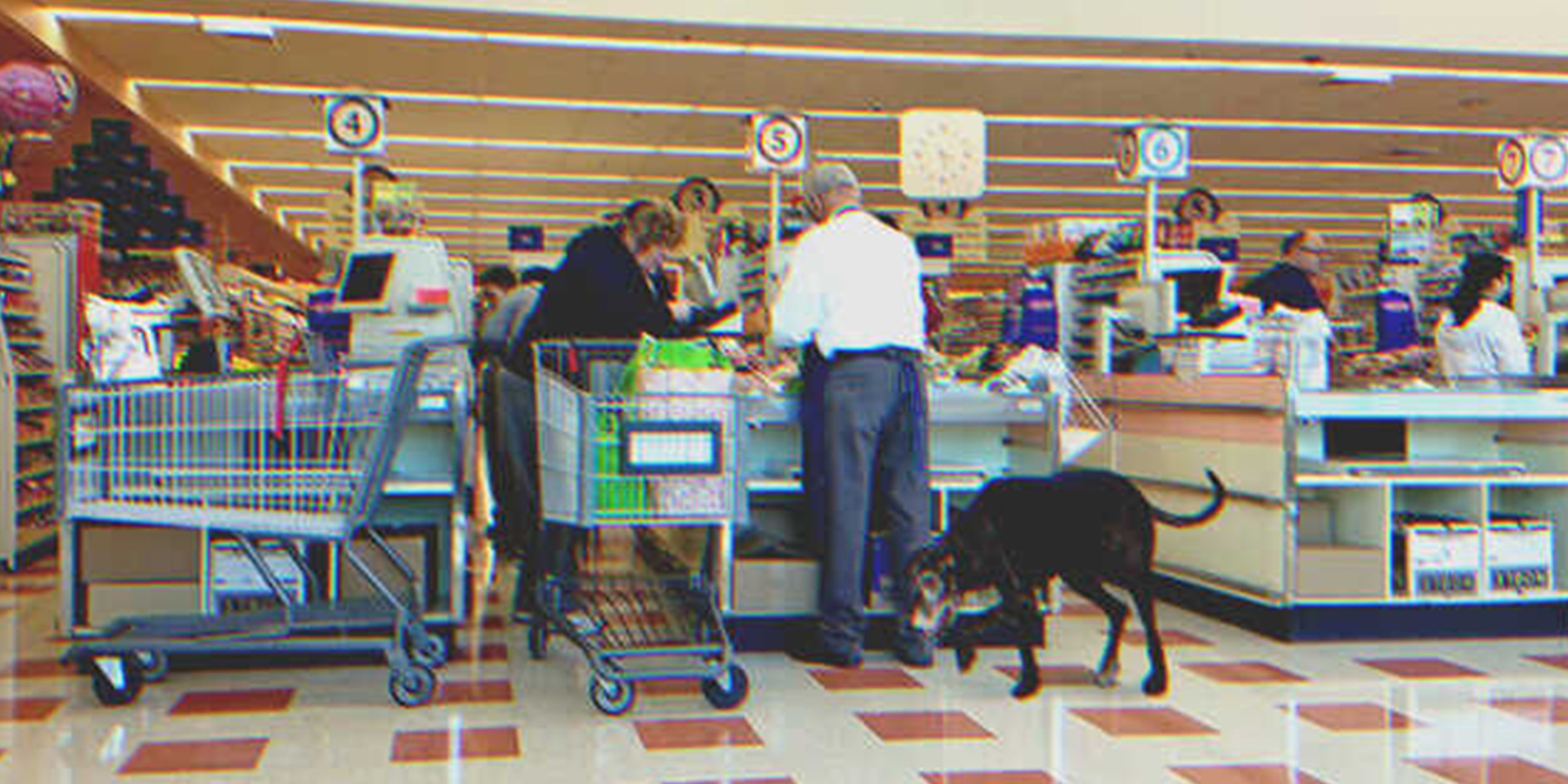 A man and his dog in a supermarket | Source: Shutterstock