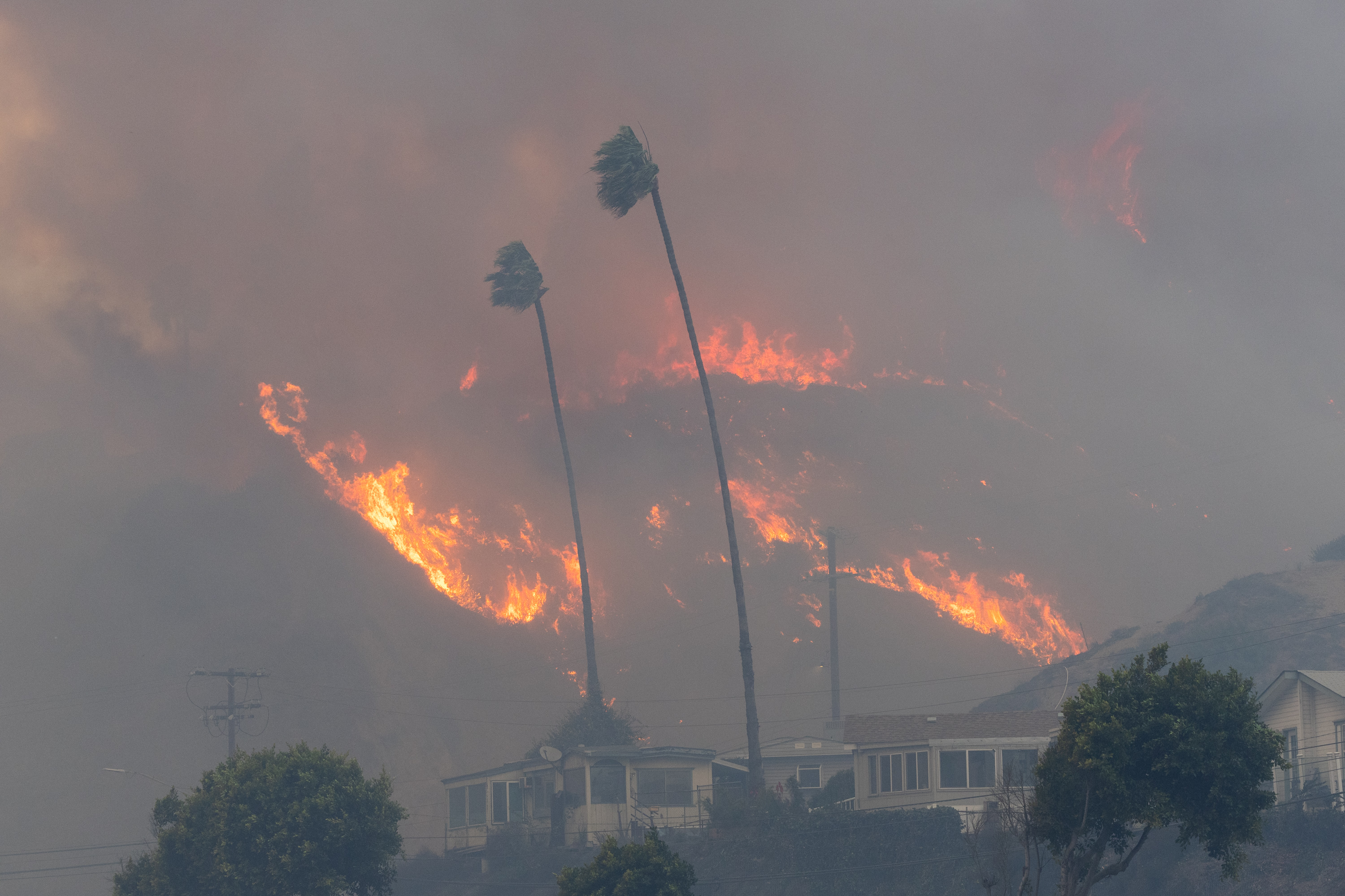 A brush fire erupting in Pacific Palisades, California on January 7, 2025. | Source: Getty Images