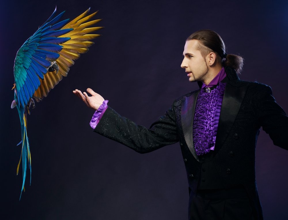 A photo of a magician in a stage costume with a parrot. | Photo: Shutterstock