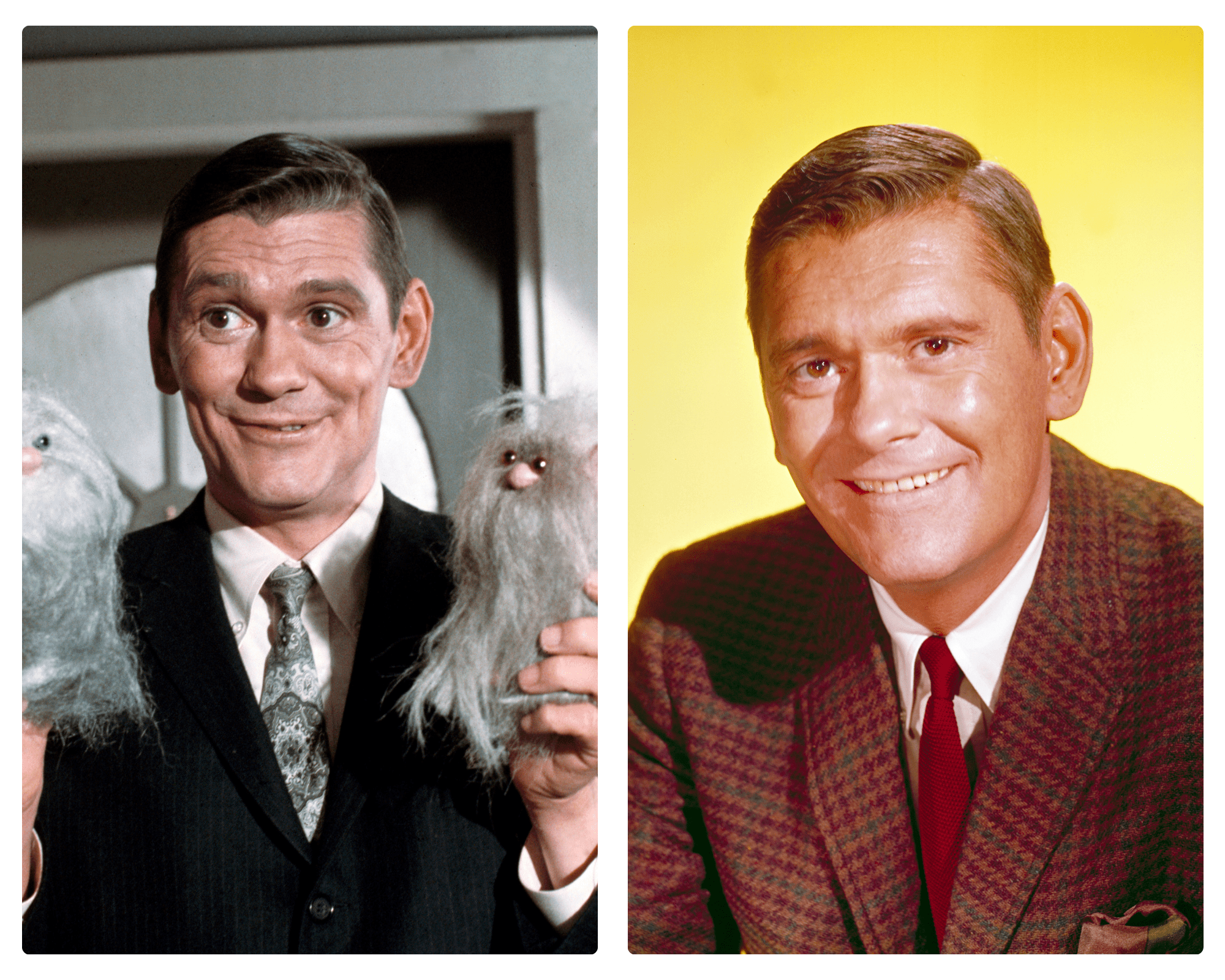 ‘bewitched What Happened To The Cast Of The Iconic 60s Sitcom Through The Years News And Gossip