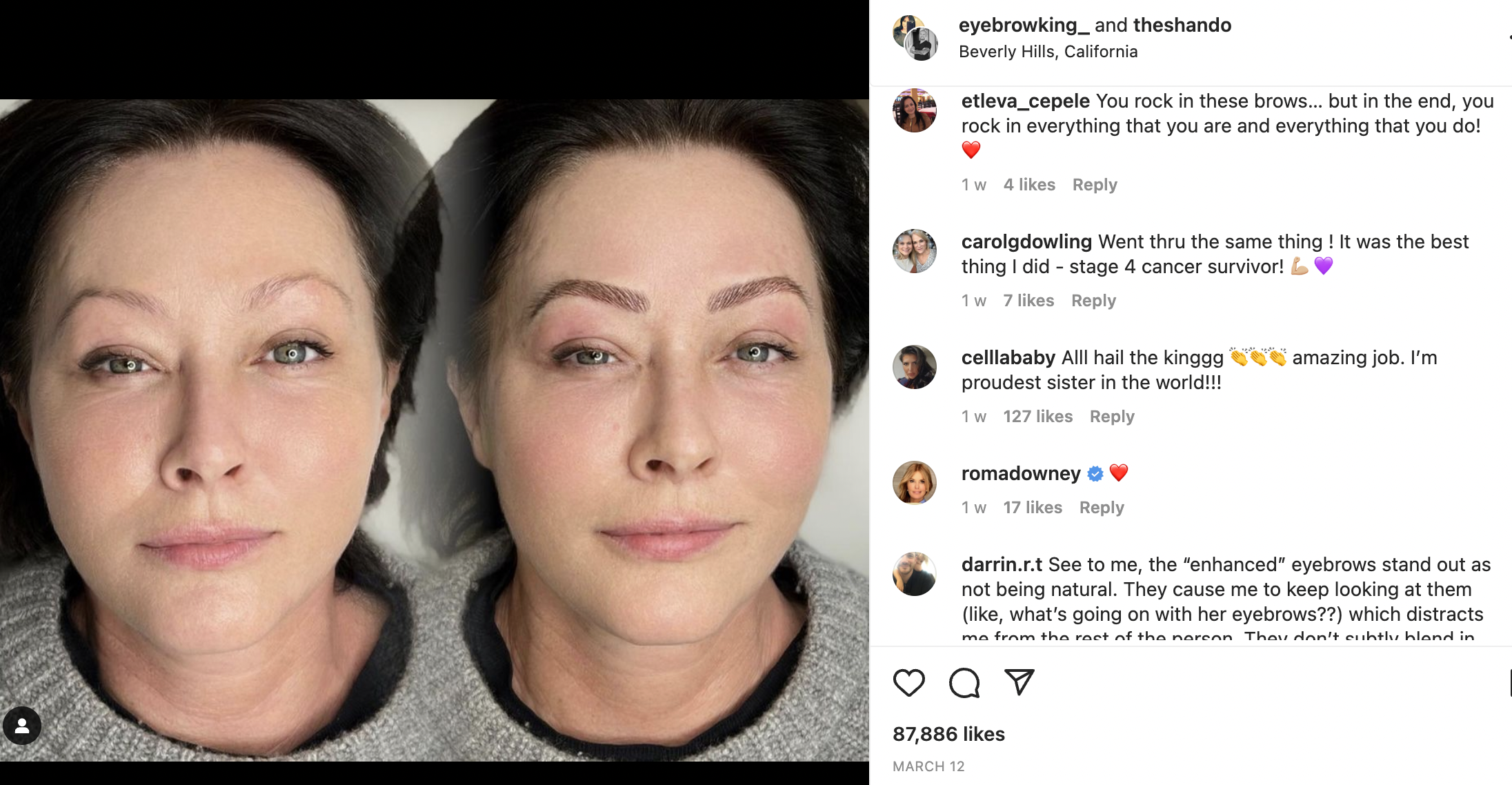 Fan comment's on Shannen Doherty and Tiàgo Sampaio's Instagram post on March 12, 2023 | Source: Instagram/eyebrowking_ | Instagram/theshando