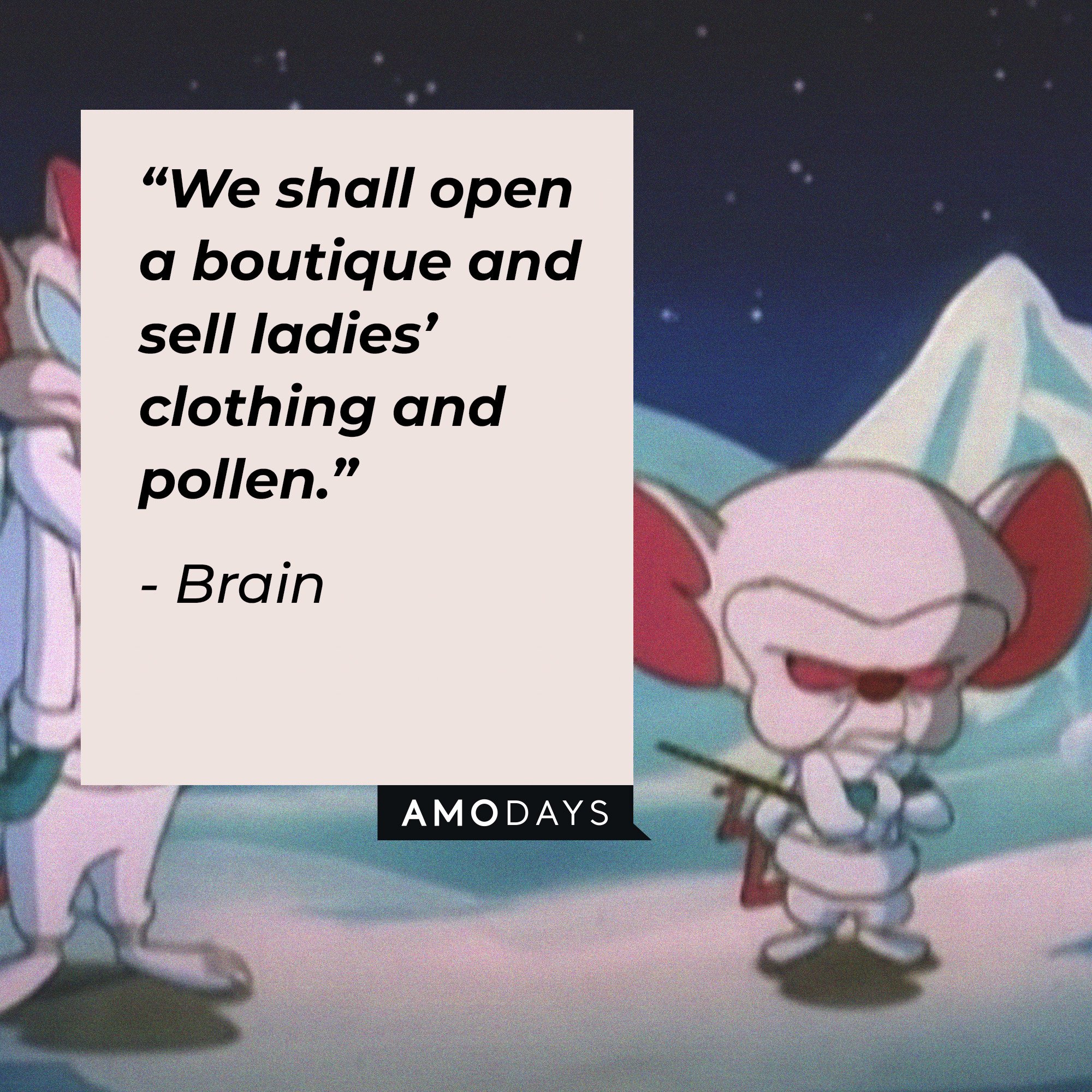 Brain's quote: “We shall open a boutique and sell ladies’ clothing and pollen.” | Image: AmoDays