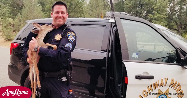 Officer saves fawn from deadly California fires 