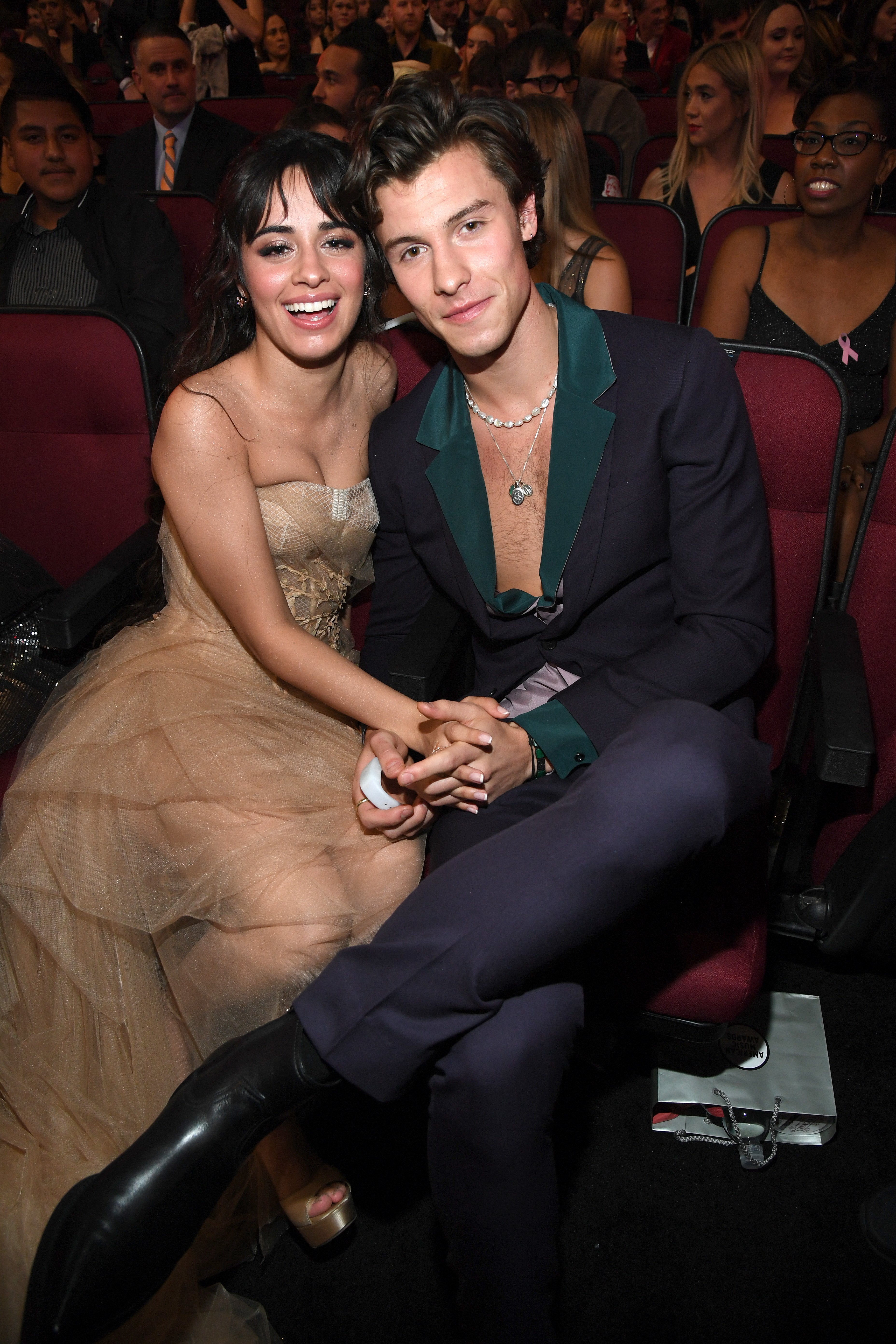 Camila Cabello and Shawn Mendes at the 2019 American Music Awards at Microsoft Theater in Los Angeles, California | Photo: Kevin Mazur/AMA2019/Getty Images
