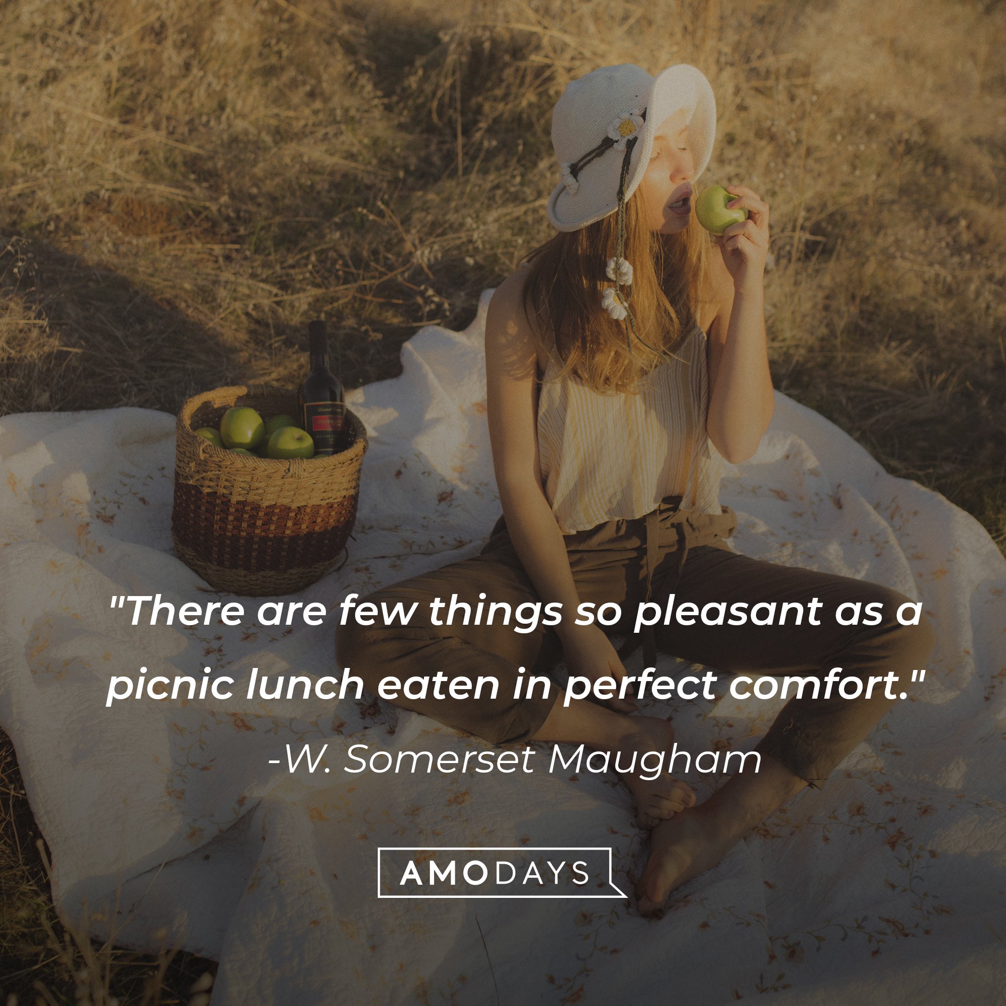 W. Somerset Maugham's quote: "There are few things so pleasant as a picnic lunch eaten in perfect comfort." | Image: AmoDays