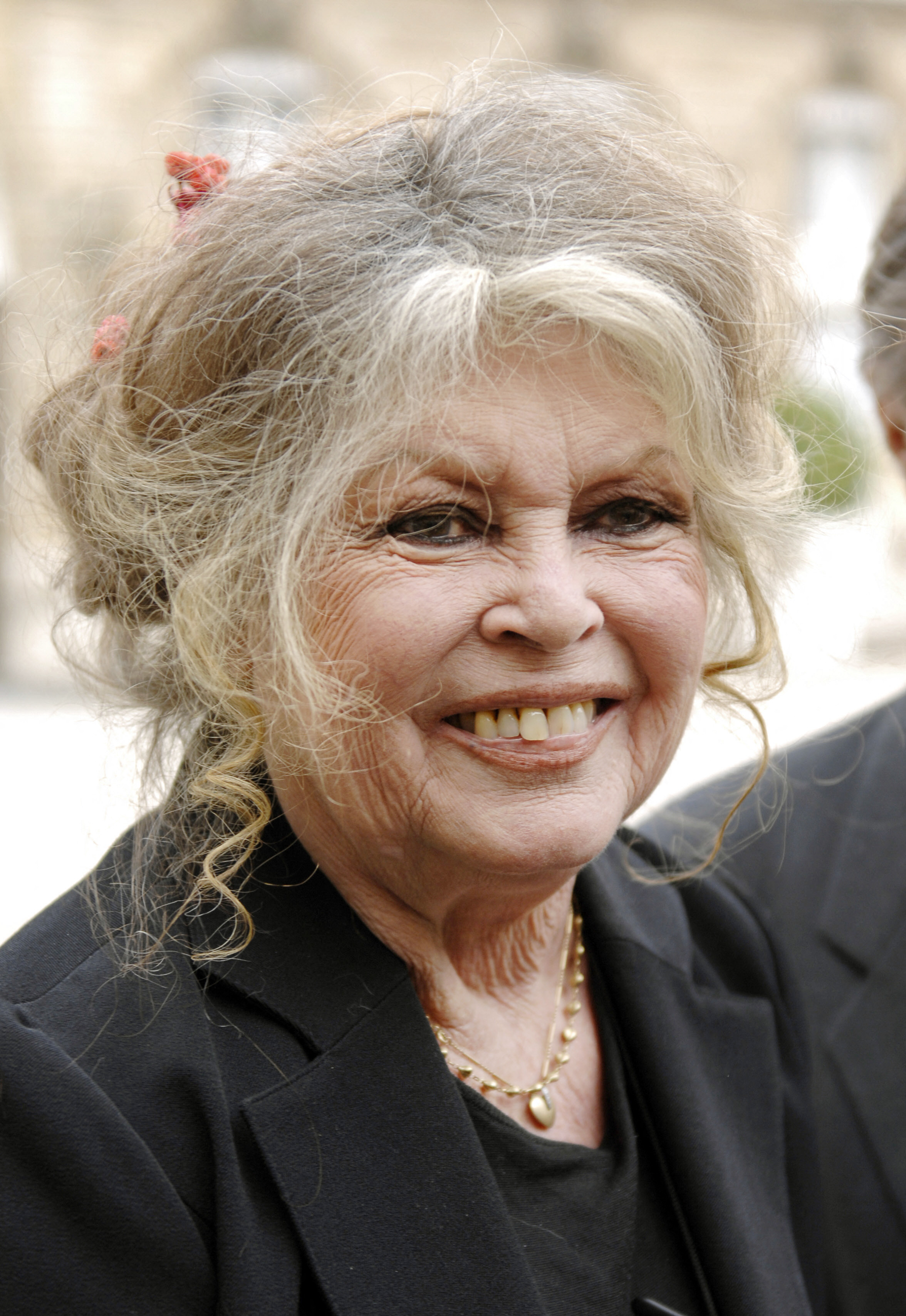 Brigitte Bardot at the Elysee palace in Paris, France on September 27 2007 | Source: Getty Images