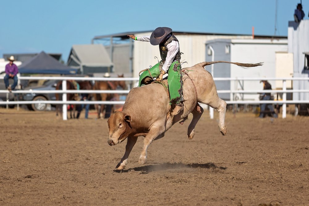 A cowboy competing in a bull-riding competition at a country rodeo | Photo: Shutterstock/Jackson Stock Photography