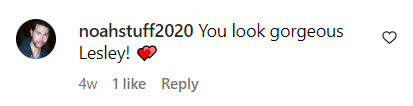 A comment posted by an Instagram user complimenting Warren's gorgeous appearance posted on April 16, 2023 | Source: Instagram.com/@thelesleyannwarren