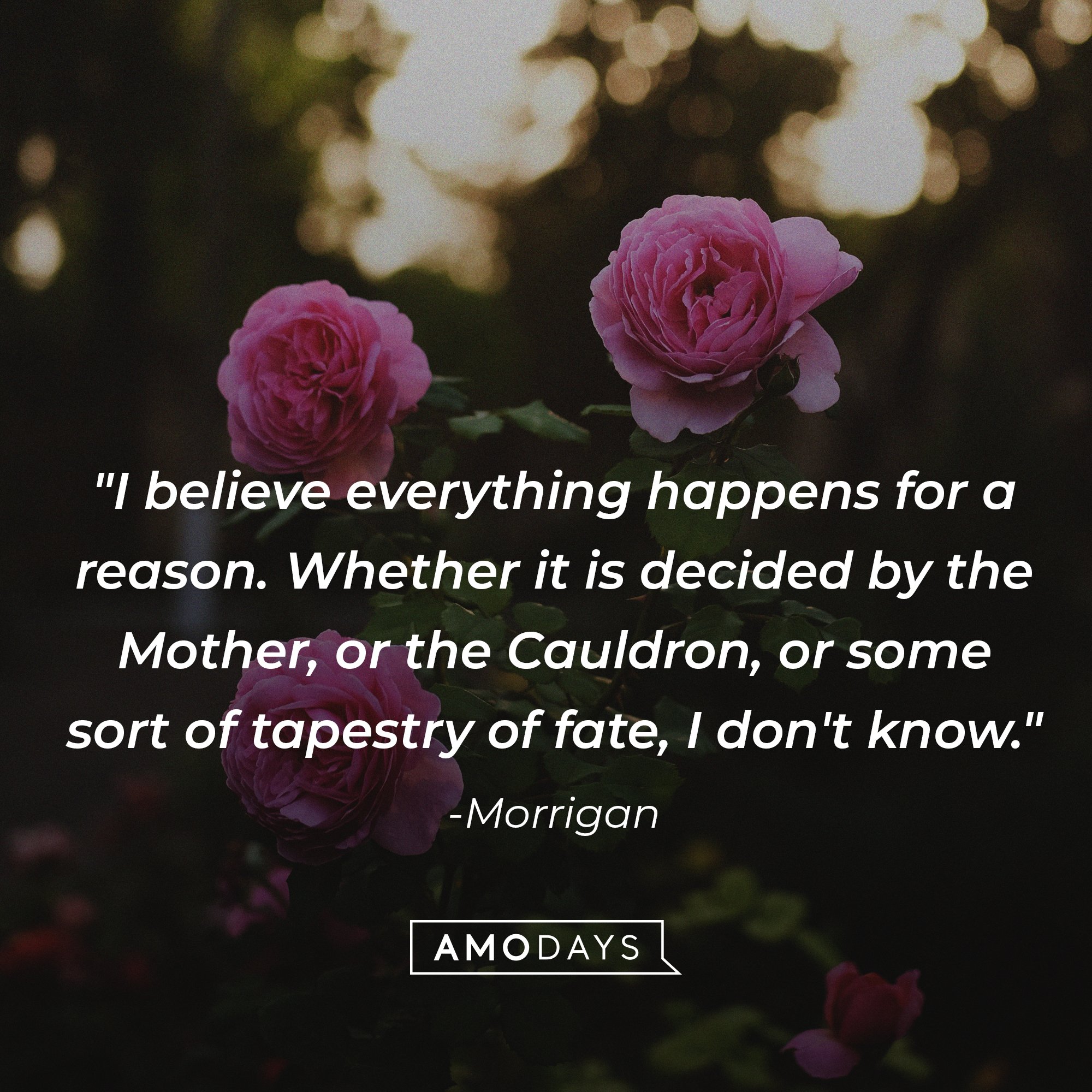  Morrigan’s quote: "I believe everything happens for a reason. Whether it is decided by the Mother, or the Cauldron, or some sort of tapestry of fate, I don't know."  | Image: AmoDays