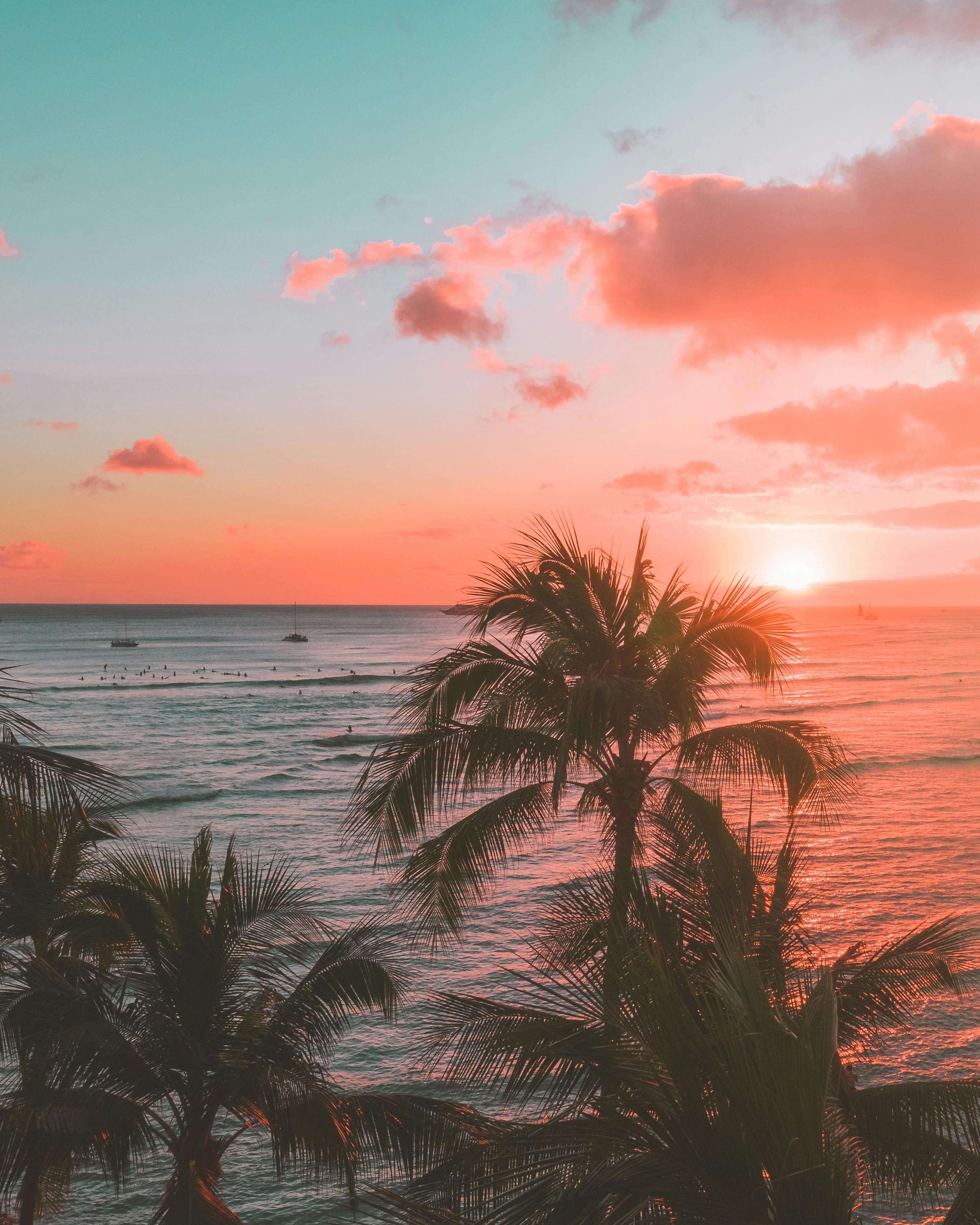 Palm trees during sunset | Source: Pexels