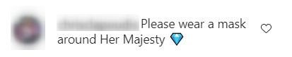 A fan's comment on "The Royal Family" Instagram page | Photo: Instagram / theroyalfamily