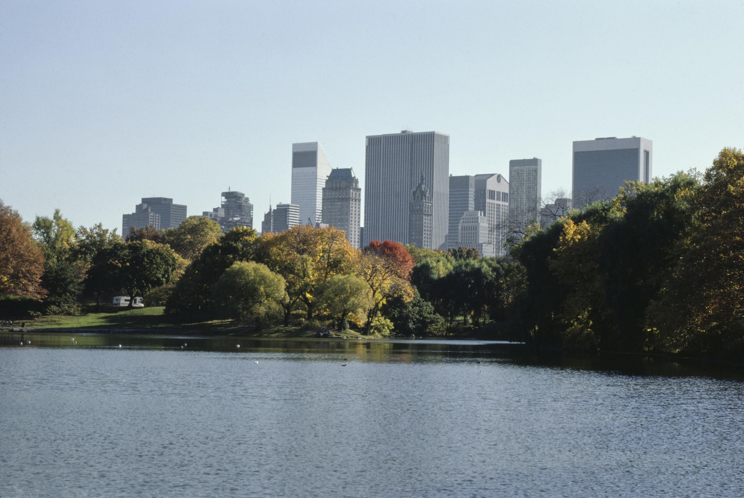 View of skyscrapers from the lake in Central Park, circa 1980. | Source: Getty Images
