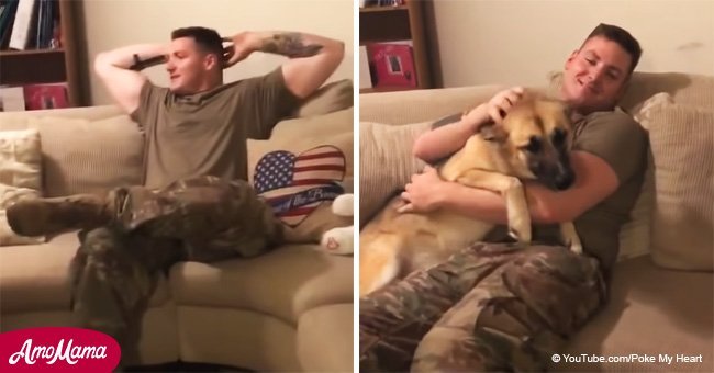 Dog thought his soldier-dad had died, but his reaction when they reunite is priceless (video)