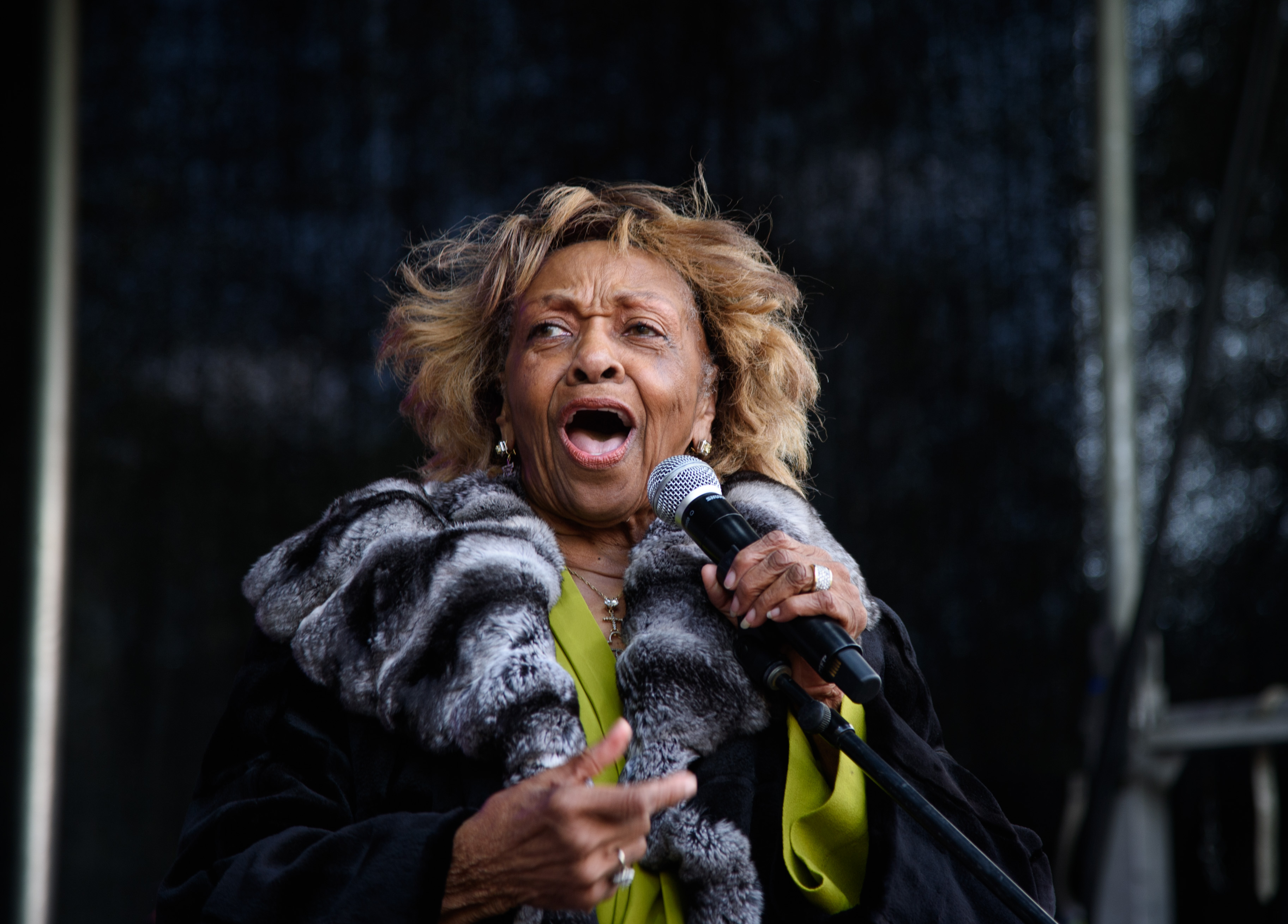 Cissy Houston at the 2016 Newark Celebration 350 Founders Weekend Festival in Newark, New Jersey, on May 15, 2016 | Source: Getty Images