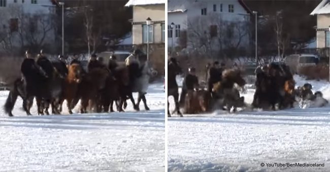 Dozens of Icelandic horses crash through the ice with their riders