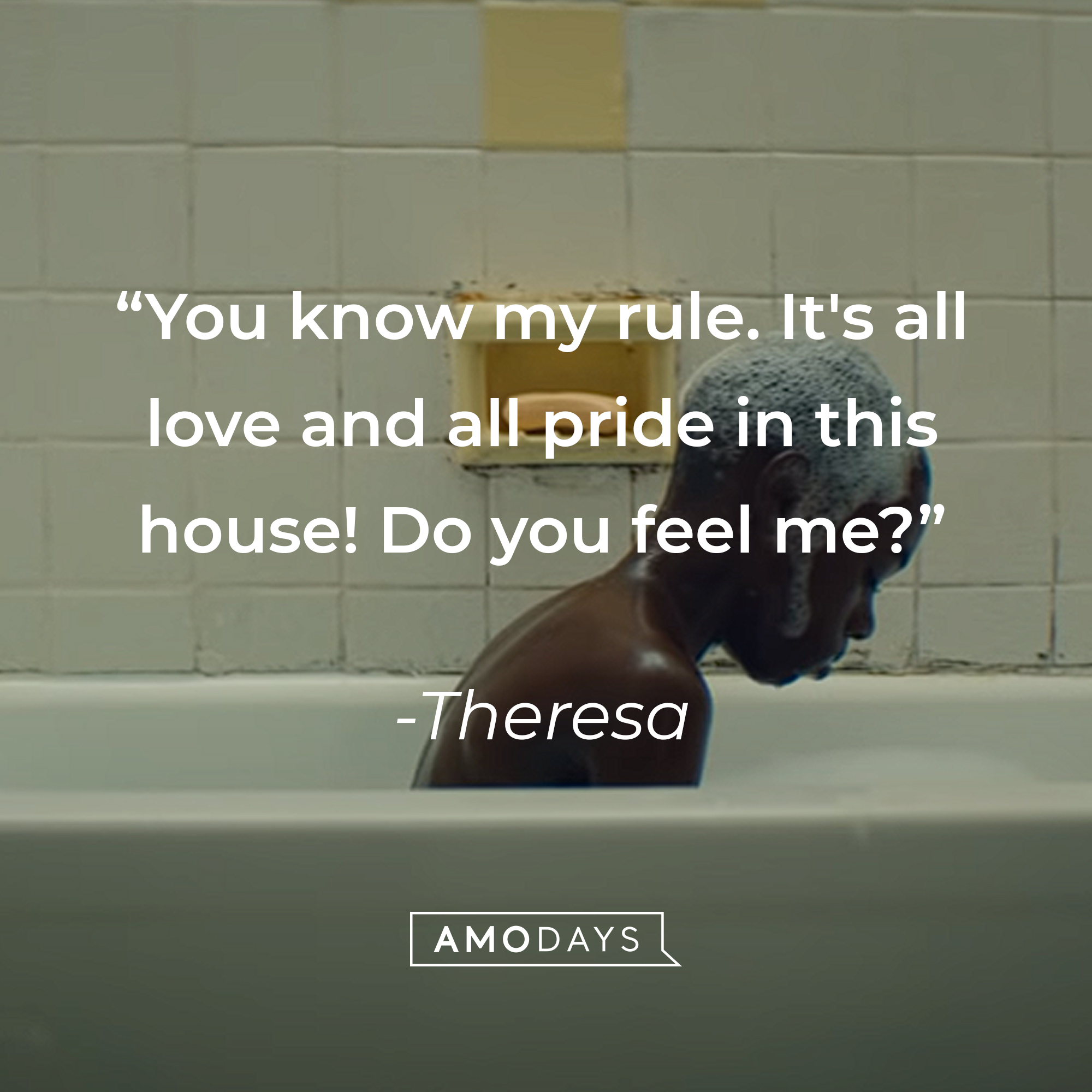 An image of Chiron with- Theresa’s quote: “You know my rule. It's all love and all pride in this house! Do you feel me?”| Source: youtube.com/A24