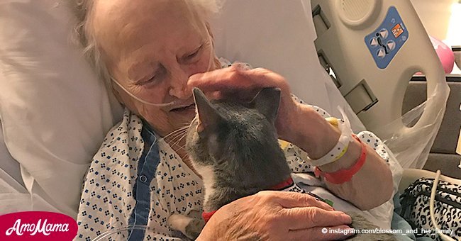 Cute video of granny visited by very special fluffy guest during hospital stay