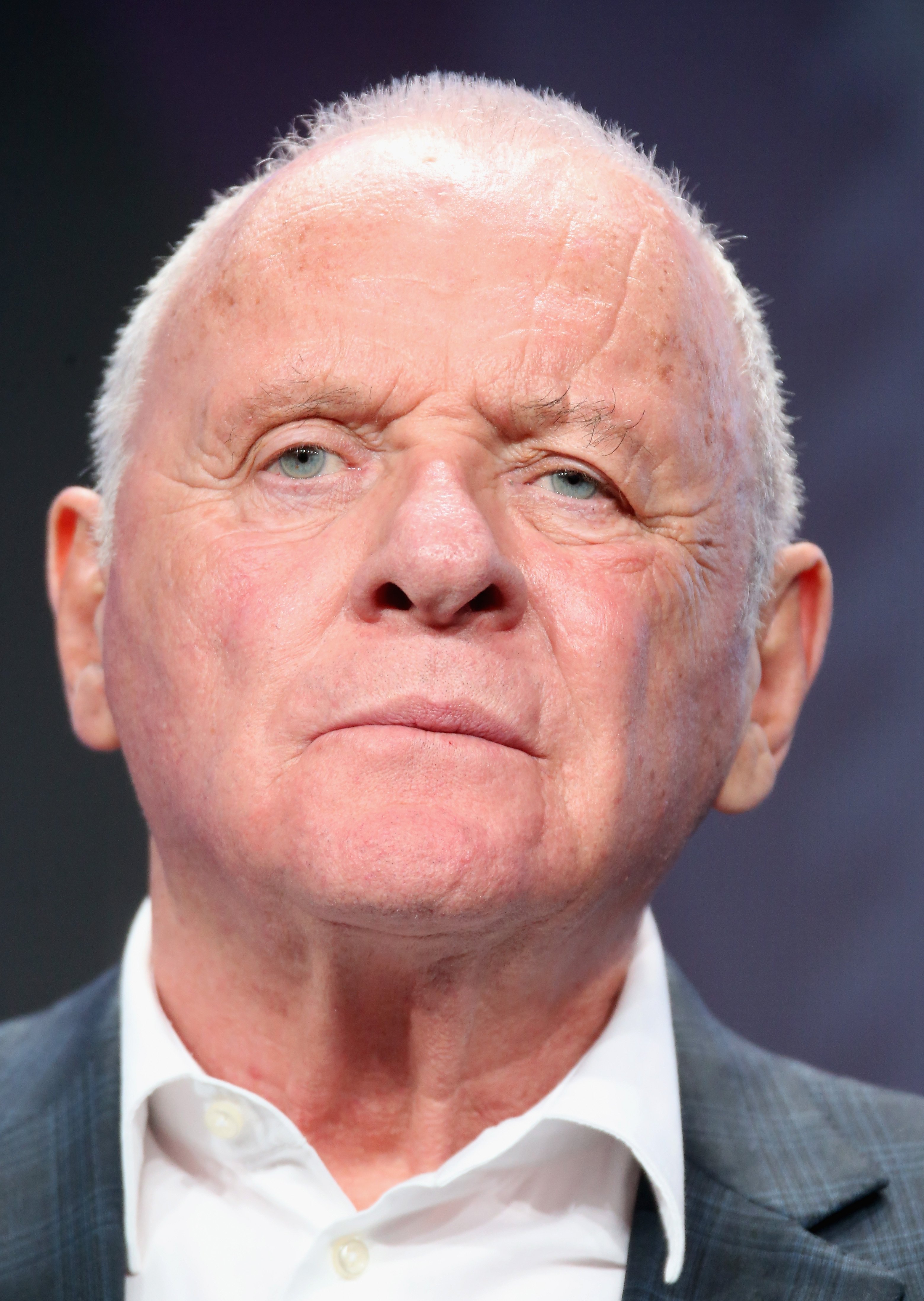 Anthony Hopkins during the "Westworld" panel discussion at the HBO portion of the 2016 Television Critics Association Summer Tour at The Beverly Hilton Hotel on July 30, 2016 in Beverly Hills, California. / Source: Getty Images