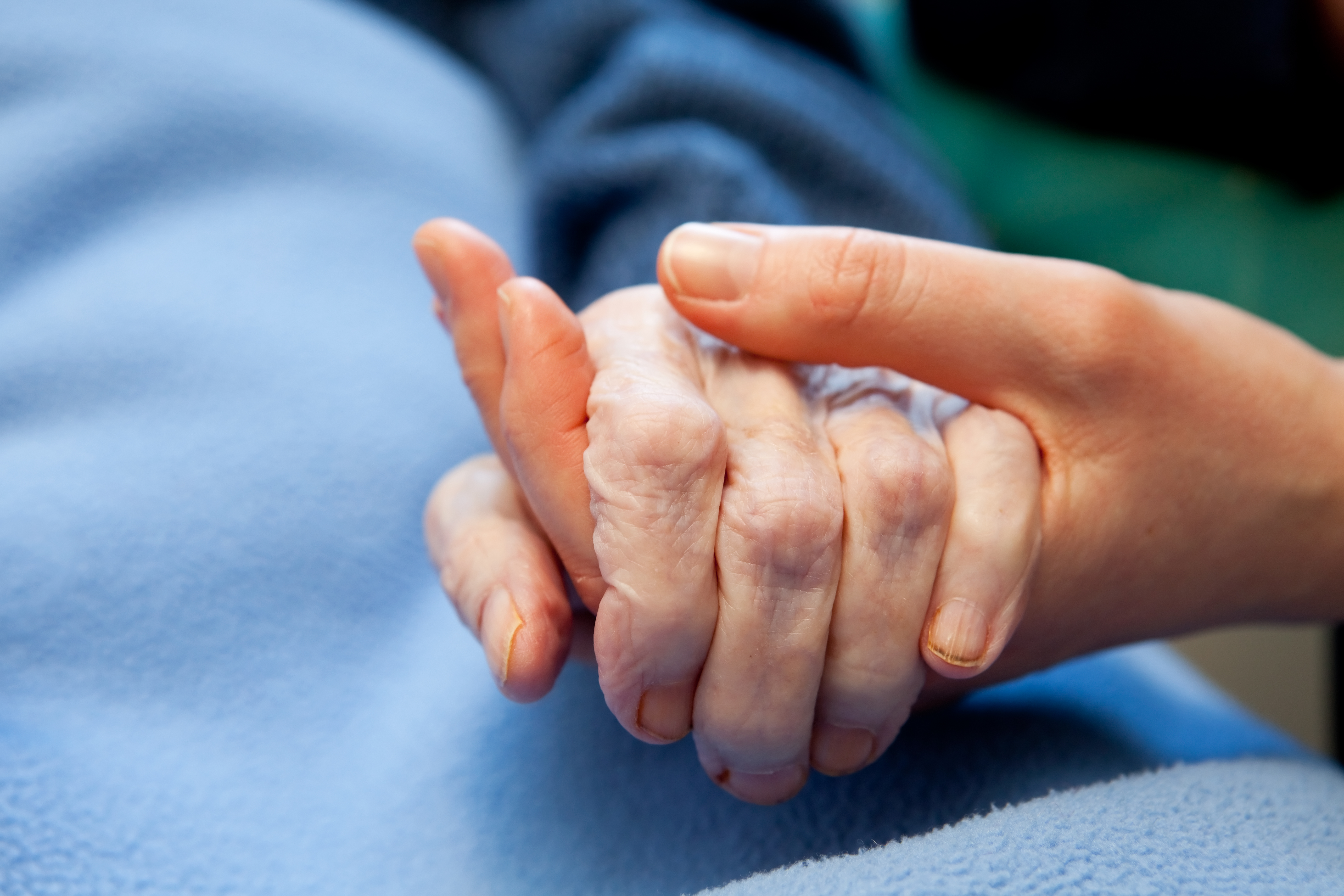 A young hand touches and holds an old wrinkled hand | Source: Shutterstock