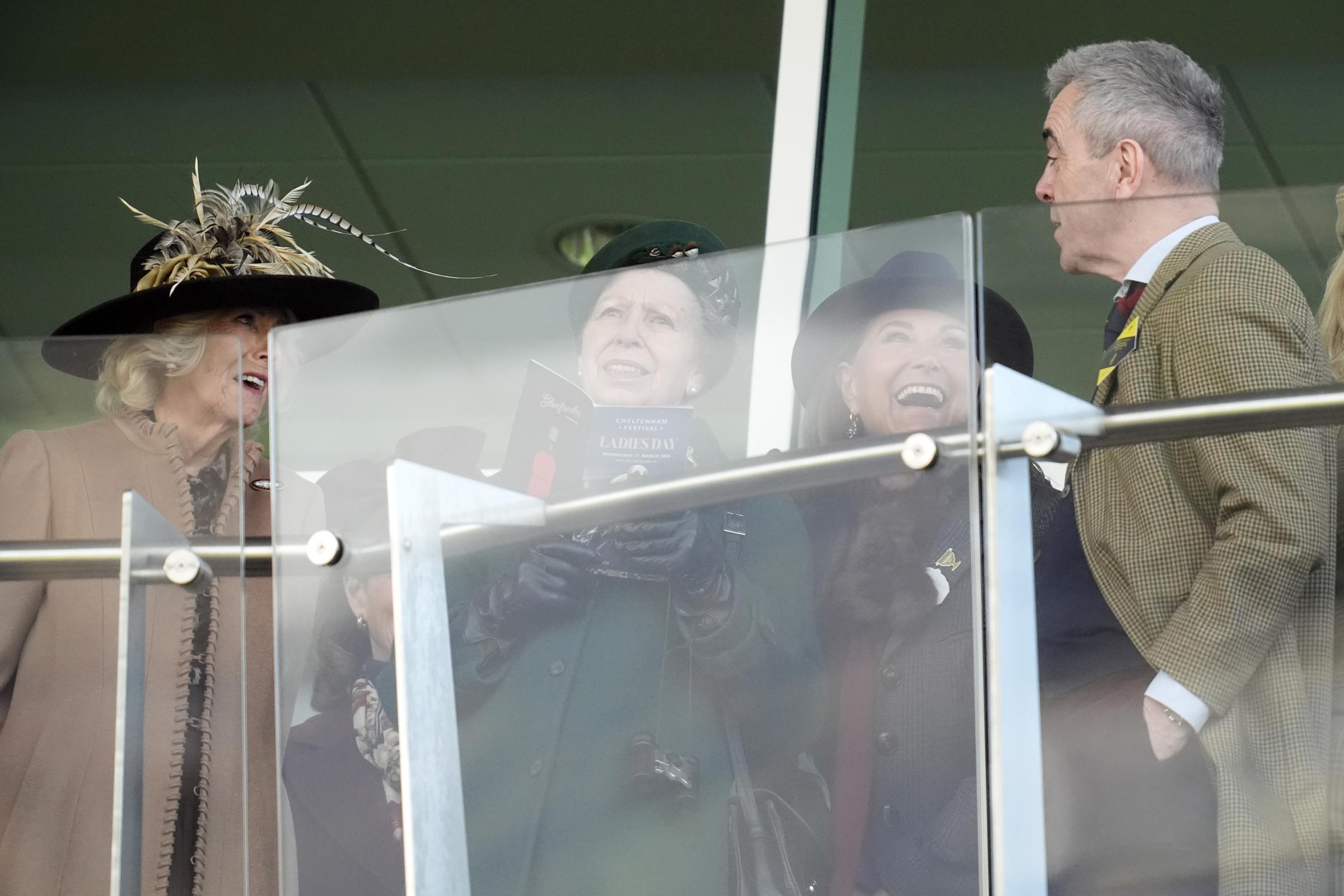 Queen Camilla, resplendent in a dramatic wide-brimmed black hat adorned with sweeping feathers, leans in mid-conversation from one side of a glass divide as Carole Middleton dissolves into laughter alongside Anne, Princess Royal, race programme in hand, while actor James Nesbitt looks on from the right in a sharp tweed jacket during the Cheltenham Festival.