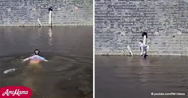 Man hailed a hero for swimming across a canal to save a cat