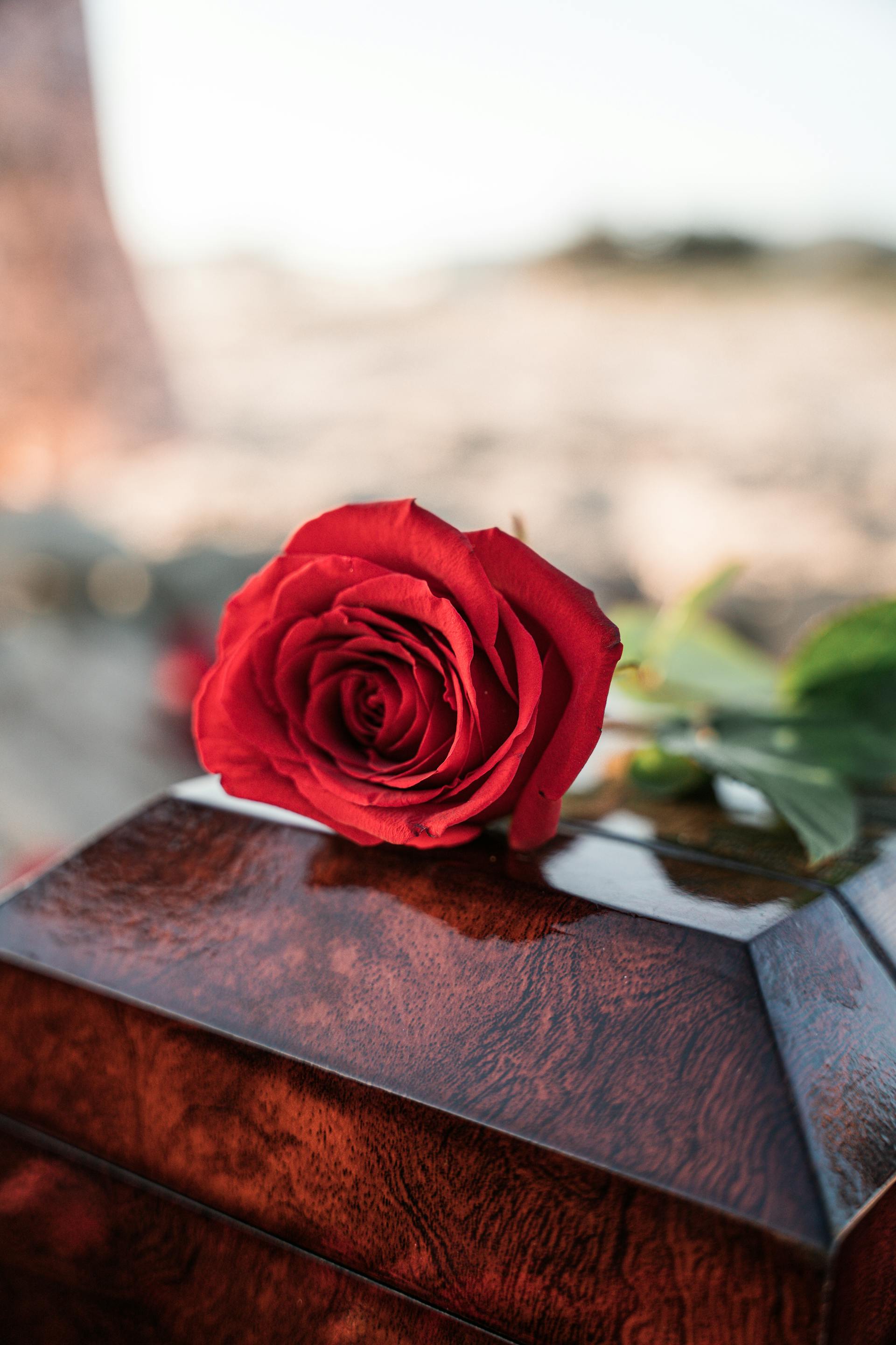 A red rose on a casket | Source: Pexels