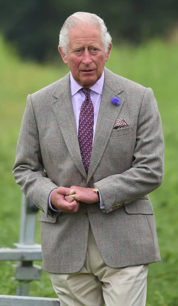 Le prince Charles | photo : Getty Images