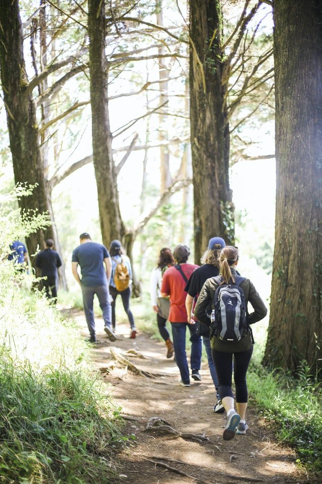 Des gens marchant en forêt. l Source : Unsplash