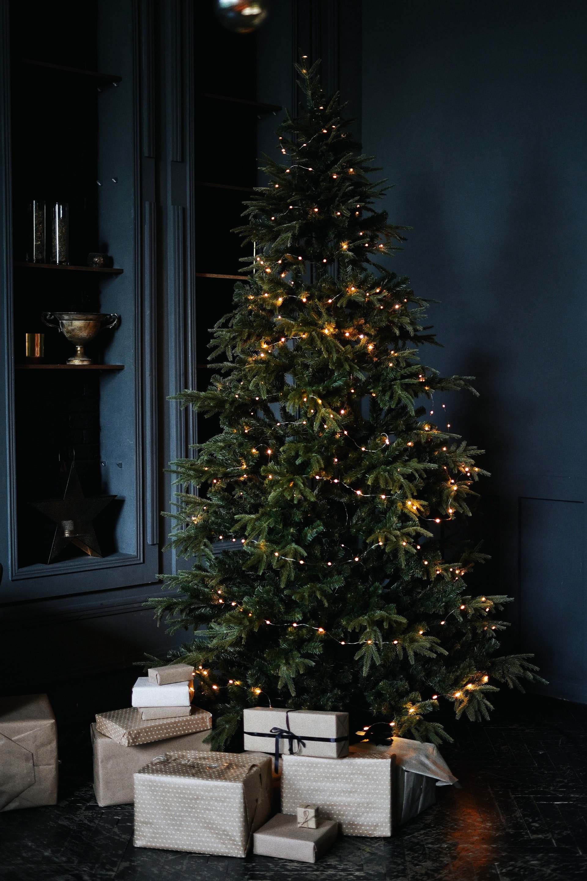 Photo of a christmas tree | Photo: Pexels