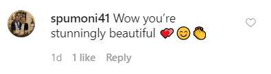 A fan comments on Helen Mirren’s post about a photoshoot for L’Oréal with Viola Davis | Source: Instagram.com/helenmirren