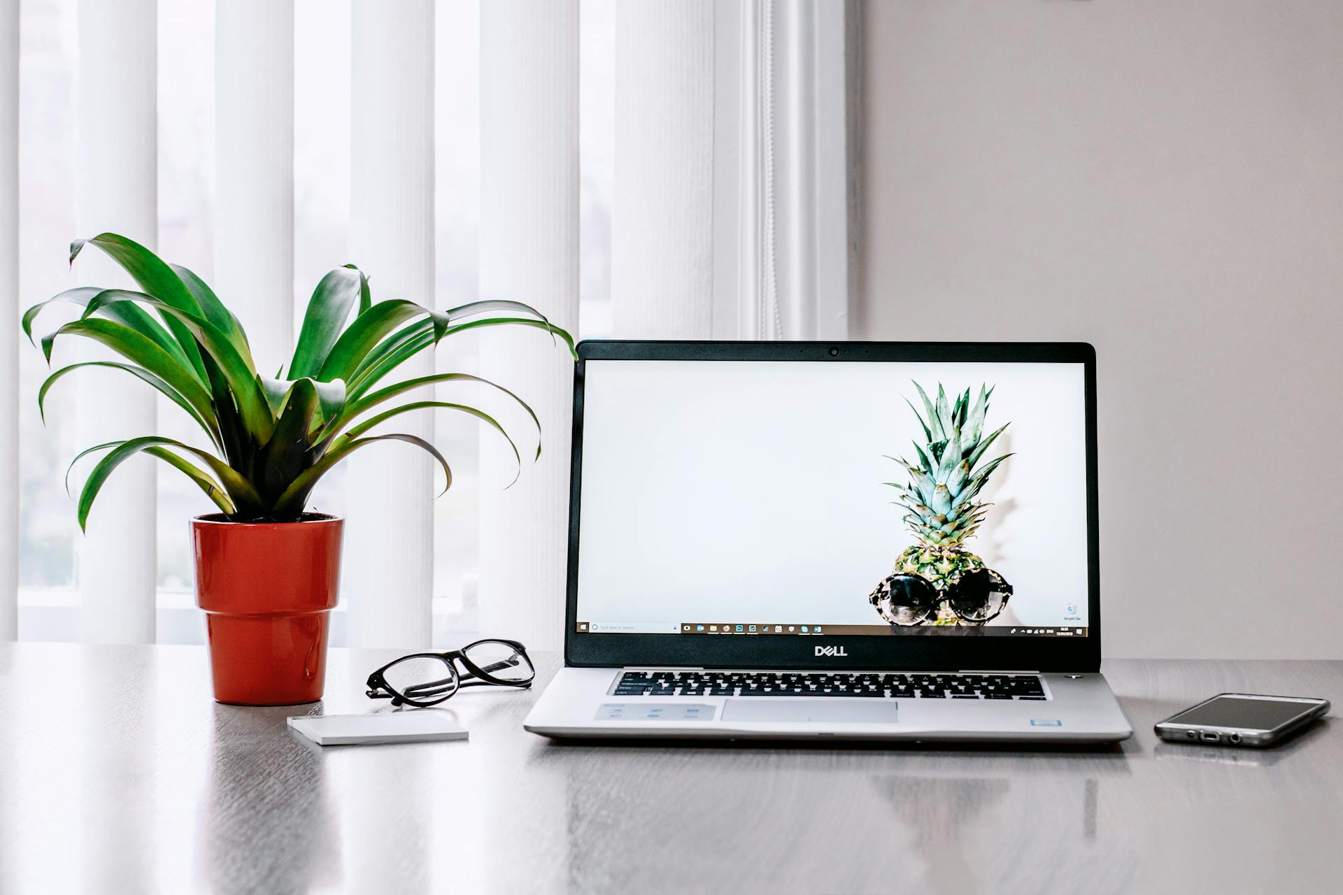 A pot plant on a desk | Source: Pexels