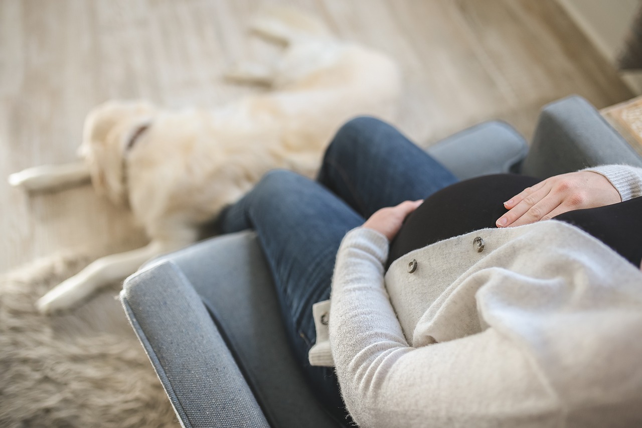 Pregnant woman sitting on a chair with a dog by her feet | Source: Pixabay