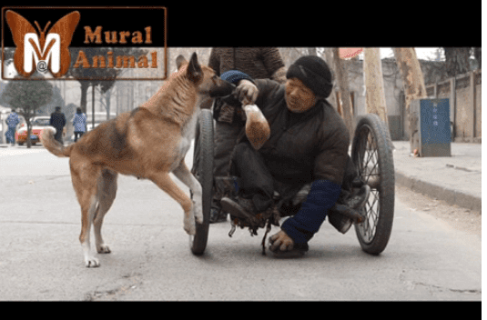 Les spectateurs se sont arrêtés pour prendre des photos et enregistrer des vidéos avec leur téléphone quand ils l'ont remarqué | Image : YouTube : Mural AnimalBlog Les spectateurs se sont arrêtés pour prendre des photos et enregistrer des vidéos avec leur téléphone quand ils l'ont remarqué | Image : YouTube : Mural AnimalBlog