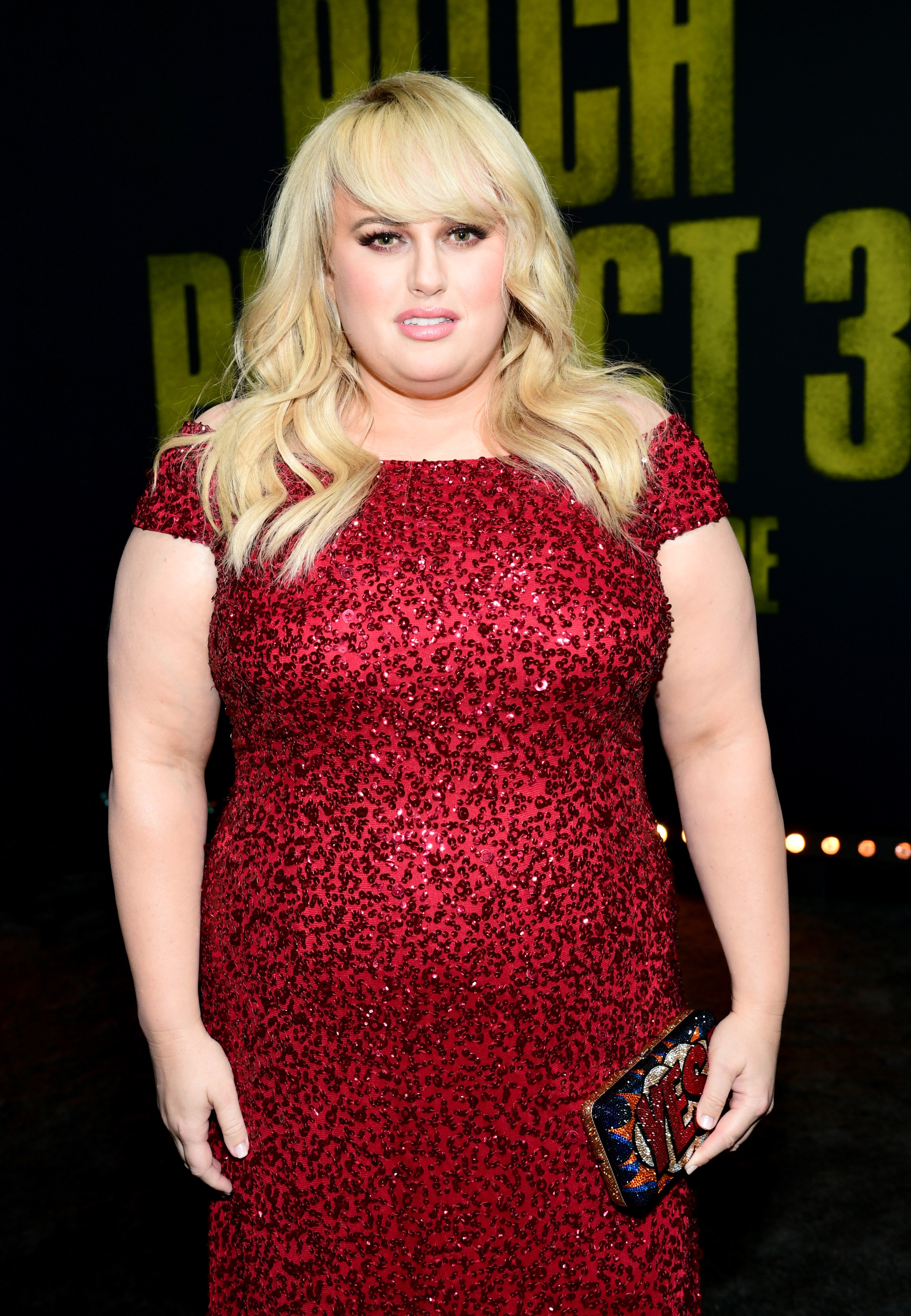 Rebel Wilson at the premiere of "Pitch Perfect 3" at Dolby Theatre on December 12, 2017, in Hollywood, California. | Source: Getty Images