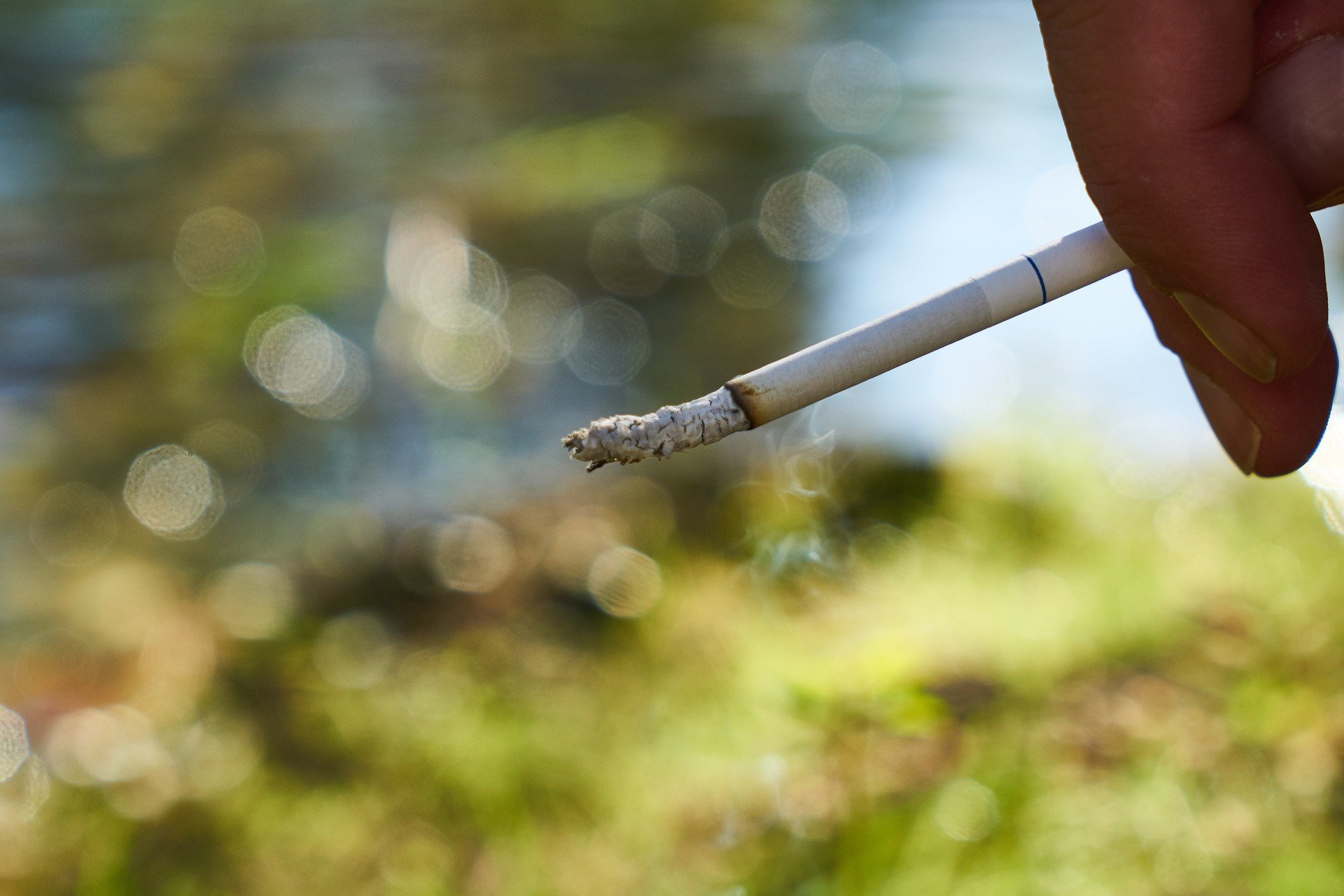 Un mégot de cigarette. | Photo : Pixabay