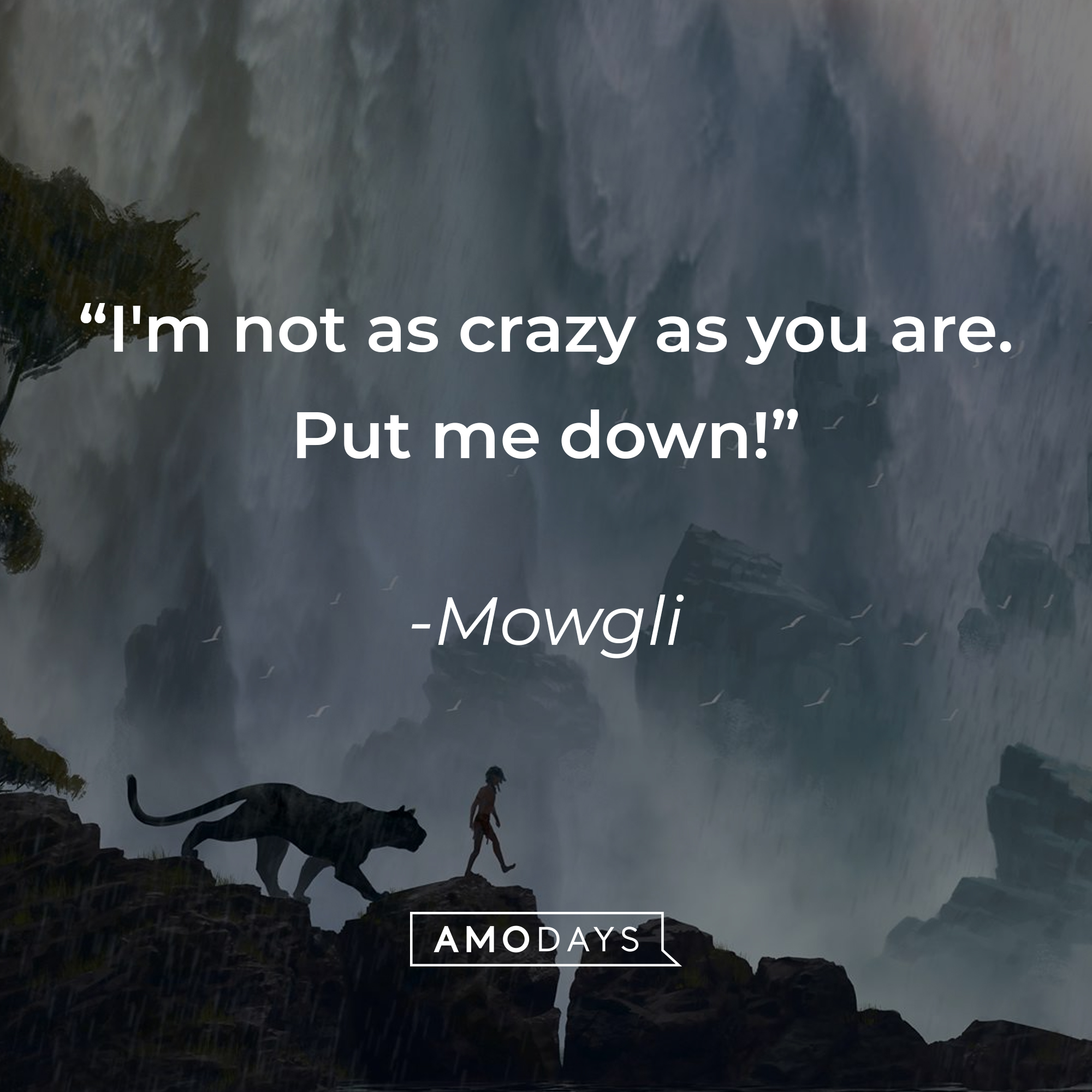 42 Jungle Book Quotes That Warm The Heart And Stir The Soul 9841