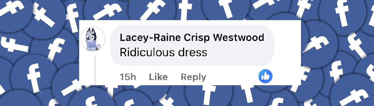 A netizen's comment about Melissa McCarthy's Golden Globe outfit, posted on January 6, 2025 | Source: Facebook.com/peoplemag