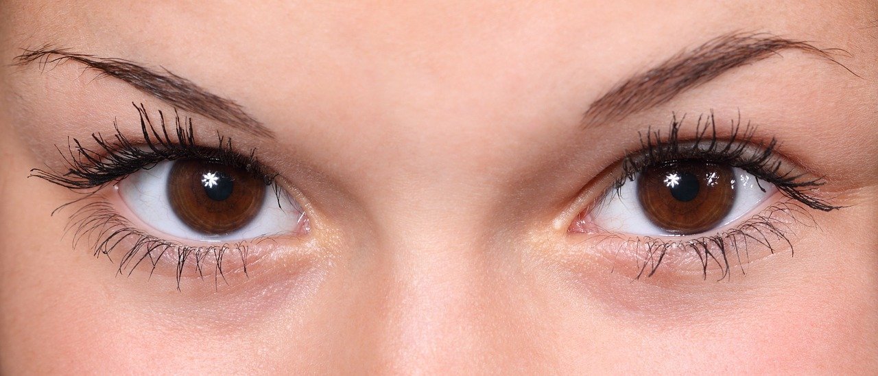 sourcils et cils d'une femme. | Photo : Pixabay